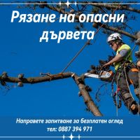 Рязане, отсичане, премахване, на опасни дървета и клони в гр. Пловдив, снимка 1 - Други - 45507322