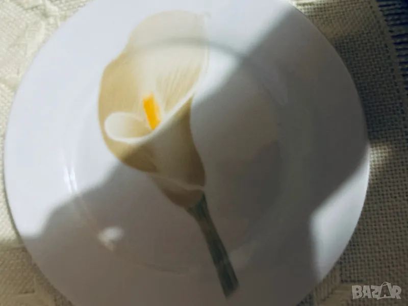 2 броя стари порцеланови чинии Германия, снимка 1