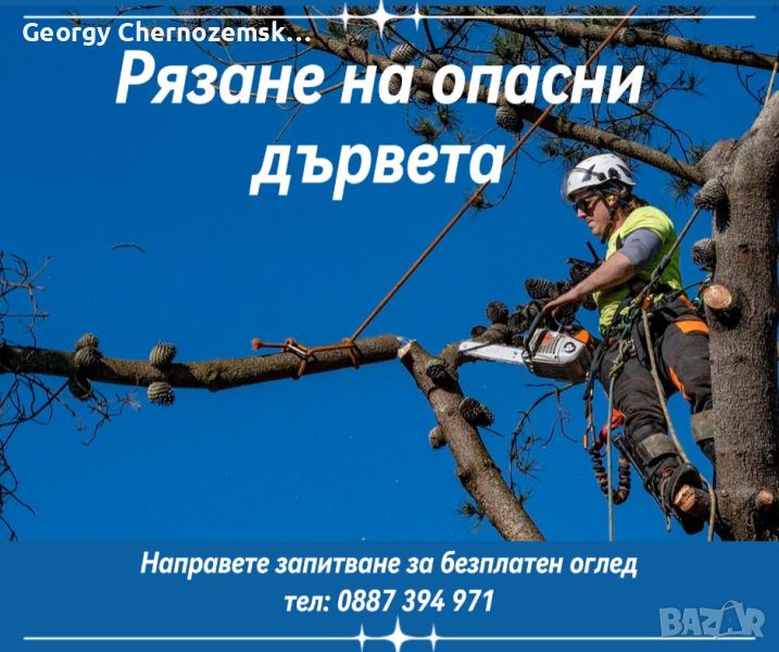 Рязане, отсичане, премахване, на опасни дървета и клони в гр. Пловдив, снимка 1