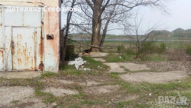 Имот, подходящ за фотоволтаични центали, снимка 7 - Други - 53348453