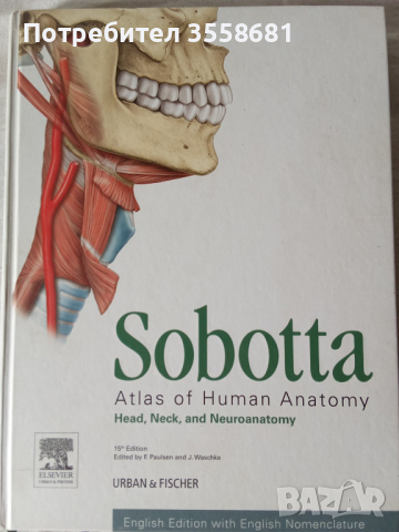 Sootta Head, Neck and Neuroanatomy