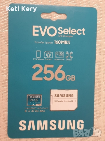 Samsung Evo miniSD 256GB