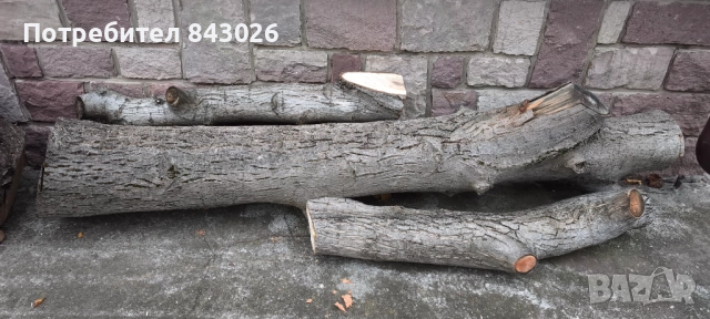 Продавам орехови трупи , снимка 2 - Дърводелски услуги - 52326046