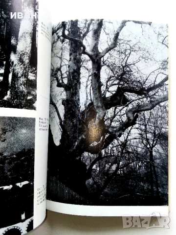 Защитени природни обекти - М.Тошков,С.Милославов,Л.Маринов - 1984г, снимка 4 - Енциклопедии, справочници - 53125812