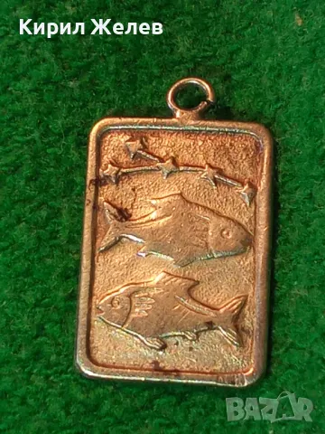 ЗОДИЯ РИБИ АСТРОЛОГИЧЕСКИ СРЕБЪРЕН МЕДАЛЬОН СРЕБРО 925 МАЙСТОРСКА ЗОДИАКАЛНА АРТ ВИСУЛКА 47951, снимка 12 - Колиета, медальони, синджири - 48954405