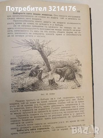 Животнитѣ от биологично гледище - Борис Митов (1935, Луксозна изработка, Отлично състояние), снимка 9 - Специализирана литература - 52773226