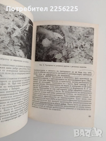 Производство на зеленчуци в оранжерии, снимка 6 - Специализирана литература - 51642396