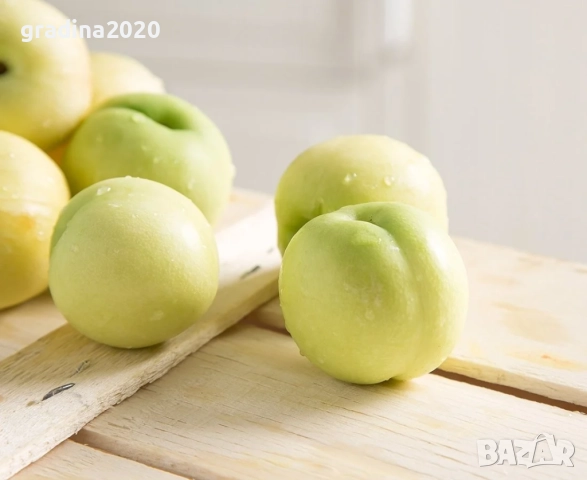 Бяла нектарина , снимка 2 - Разсади - 51956411