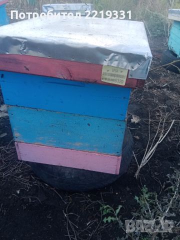 кошери магазини пчеларски инвентар, снимка 3 - За пчели - 45163767