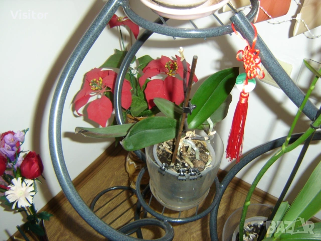 Sony Cyber-shot DSC-P73, снимка 10 - Фотоапарати - 54222919