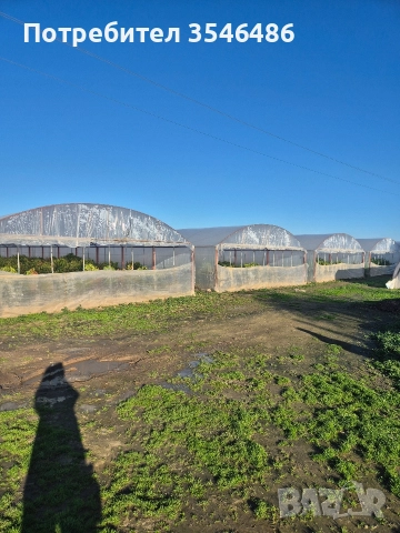 Отдавам под наем оранжерии, снимка 4 - Земеделска земя - 52813629