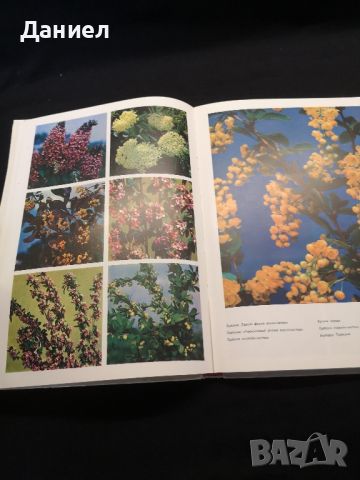 Стара книга за цветята, снимка 3 - Художествена литература - 46278461