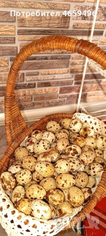 пъдпъдъчи яйца, снимка 3 - други­ - 53438597