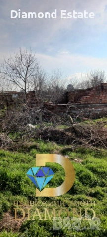 Парцел в село Оризово, обл. Стара Загора, снимка 3 - Парцели - 53734254