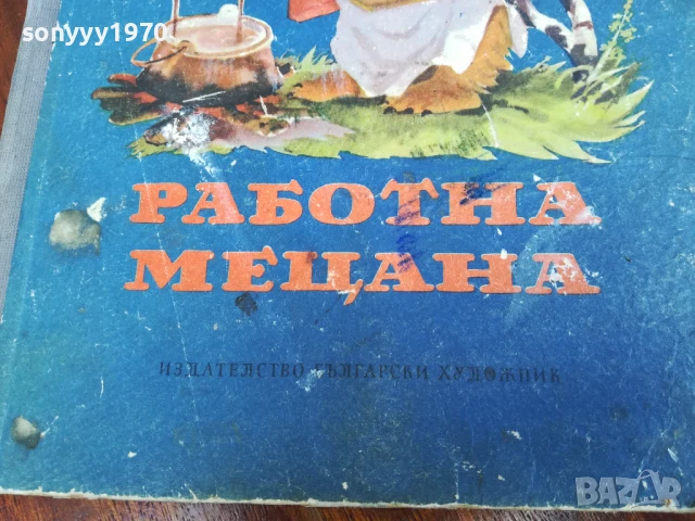 РАБОТНА МЕЦАНА 30Х20СМ 0906251844LCHERY, снимка 4 - Други - 50606745