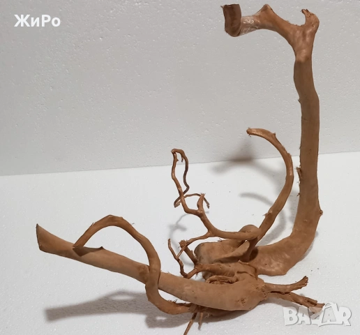 Корен от Азалия /декорация/ 36, снимка 3 - Други - 53401581