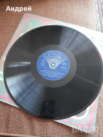 Стара грамофонна плоча Червената Шапчица, снимка 5 - Грамофонни плочи - 49609726