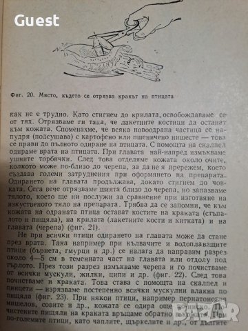 Кратко ръководство за препариране , снимка 4 - Специализирана литература - 46060225