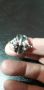 сребърен  пръстен с тюркоаз, снимка 1 - Пръстени - 45594801