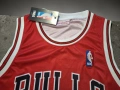 Баскетболен потник на Денис Родман #Чикаго Булс #91# Mitchell&Ness!, снимка 3