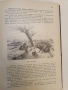 Животнитѣ от биологично гледище - Борис Митов (1935, Луксозна изработка, Отлично състояние), снимка 9