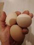 Домашни яйца от свободни кокошки , снимка 3