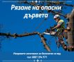Рязане, отсичане, премахване, на опасни дървета и клони в гр. Пловдив, снимка 1