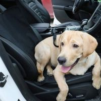 Постелка за кола за куче и животни водоустойчива и сгъваема, снимка 2 - Аксесоари и консумативи - 45888903