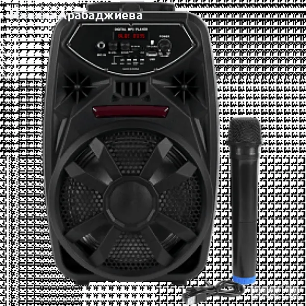 Преносим Bluetooth високоговорител с вход за микрофон PK-09(L), снимка 1