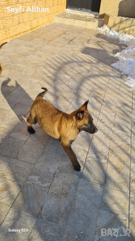 Малиноа, снимка 1