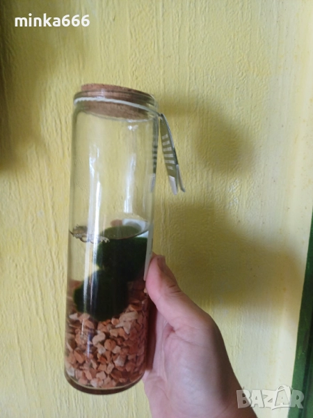 Маримо , снимка 1