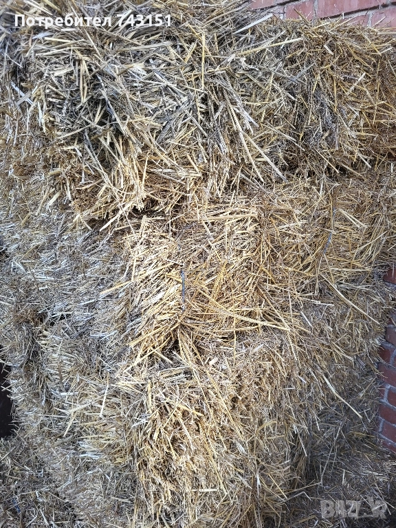 Малки бали слама, снимка 1