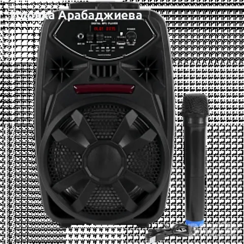 Преносим Bluetooth високоговорител с вход за микрофон PK-09(L), снимка 1 - Микрофони - 48318060