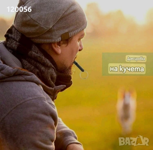 Обучителна свирка за куче