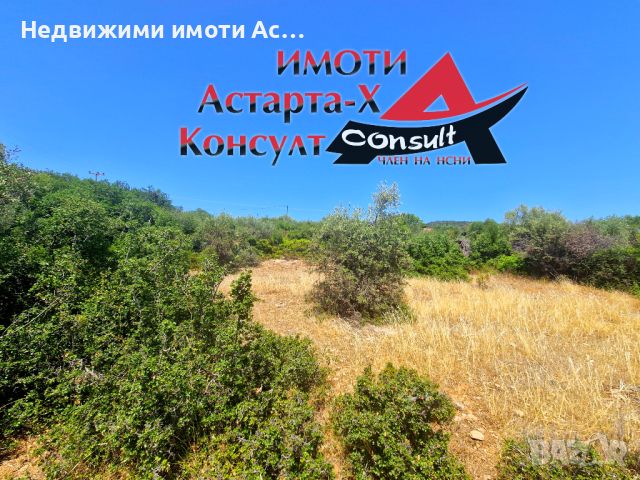 Астарта-Х Консулт продава парцел на остров Тасос Гърция , снимка 4 - Парцели - 46499374