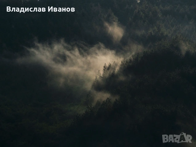 Професионален Фотограф: Сватби, Балове, Кръщенета и Събития, снимка 13 - Фотографи - 54191630