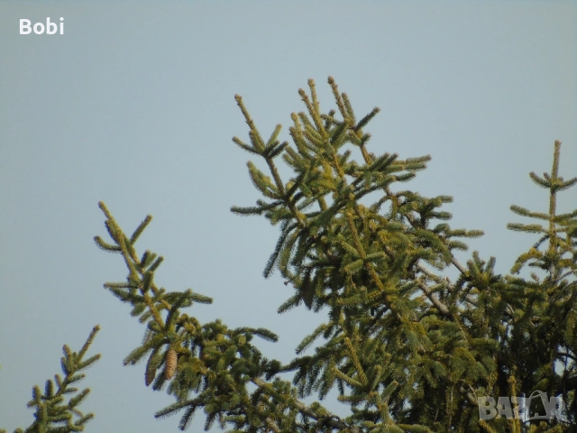 Sony Cyber-shot DSC-H400 – 63x Optical Zoom + аксесоари, снимка 6 - Фотоапарати - 53765466