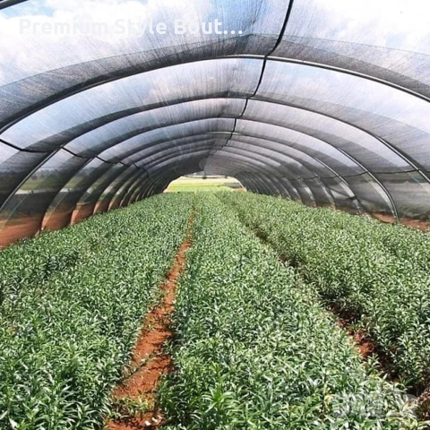 Засенчваща мрежа за ограда 1.5х25м, 60% засенчване, HDPE материал с UV защита, снимка 2 - Други стоки за дома - 53833558