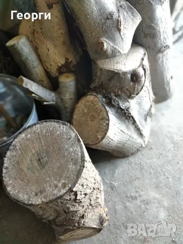 Продавам сух орехов материал, снимка 7 - Дърва за огрев - 47680327