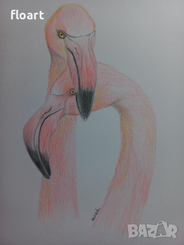 Влюбени фламинги - картина рисувана с моливи