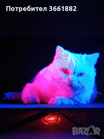 Монитор OLED ASUS PG32UCDMR 32" 4k, снимка 3 - Монитори - 53624196