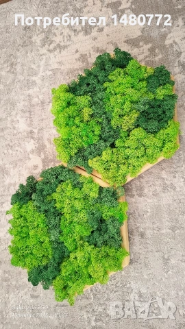 Пано шестоъгълник със скандинавски мъх , снимка 13 - Пана - 52117378