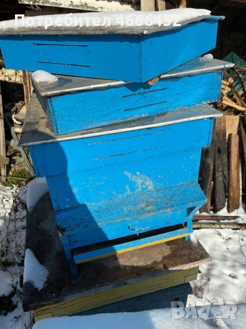 Кошери ДБ, снимка 3 - За пчели - 53129549