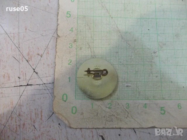 Значка "Туристическо дружество *Витоша*", снимка 3 - Колекции - 50923824