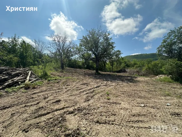 Къща в село Могила, снимка 9 - Къщи - 49190229