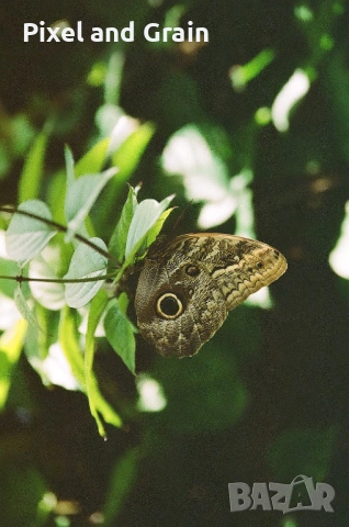 Sigma AF 28-200mm f3.8-5.6 EF обектив Канон, снимка 7 - Обективи и филтри - 53567259