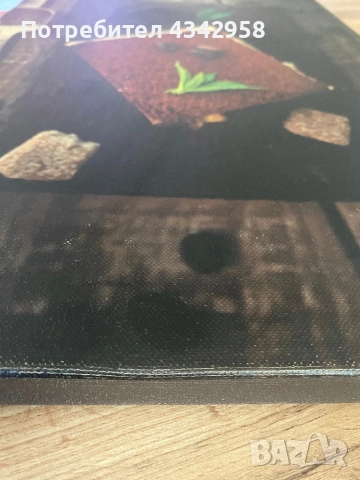 Постер за стена., снимка 2 - Декорация за дома - 51713034