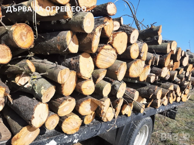 предлагам дърва за огрев метровки ябълка дървата са едри доставям до адрес 40евро 0895977422, снимка 3 - Дърва за огрев - 53781157