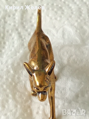 Бронзова фигурка на чихуахуа 44636, снимка 4 - Колекции - 54173096