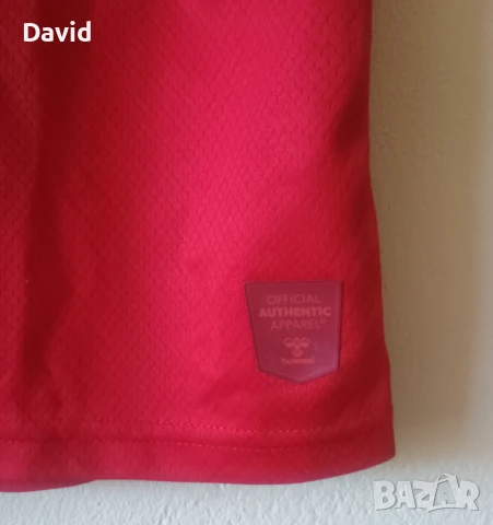 Оригинална фланелка на Дания 22/23, снимка 4 - Футбол - 50799720